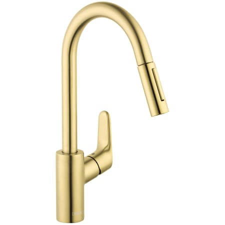 A large image of the Hansgrohe 04505 Brushed Gold Optic