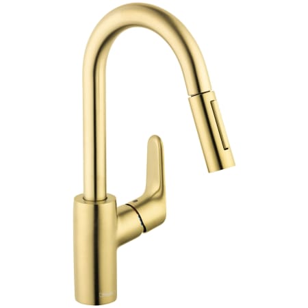 A large image of the Hansgrohe 04506 Brushed Gold Optic