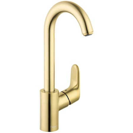 A large image of the Hansgrohe 04507 Brushed Gold Optic