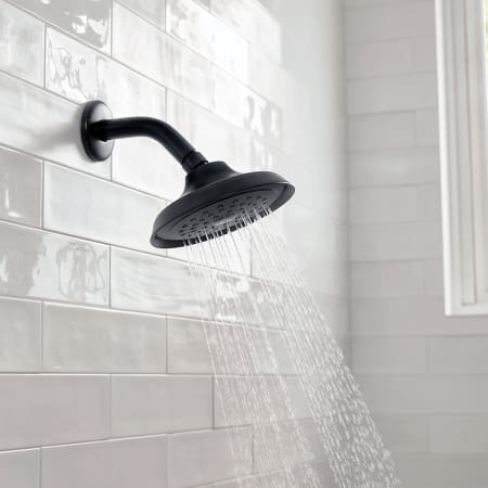 A large image of the Hansgrohe 04780 Alternate View