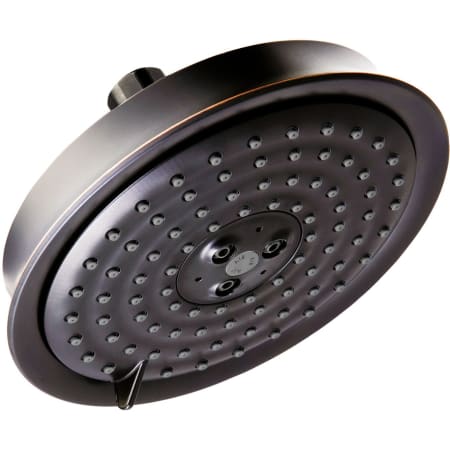 A large image of the Hansgrohe 04801 Rubbed Bronze