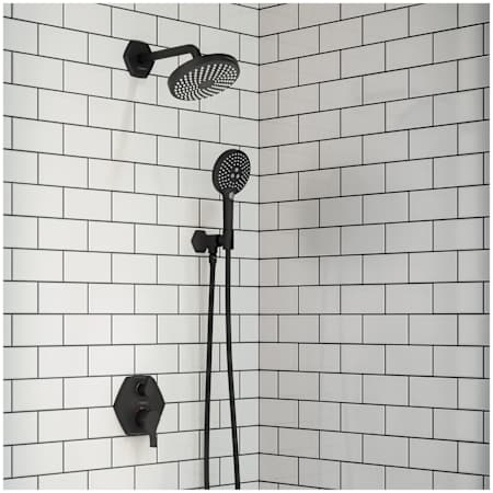 A large image of the Hansgrohe 04820 Alternate Image