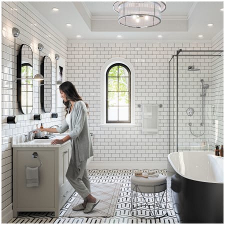 A large image of the Hansgrohe 04824 Alternate Image