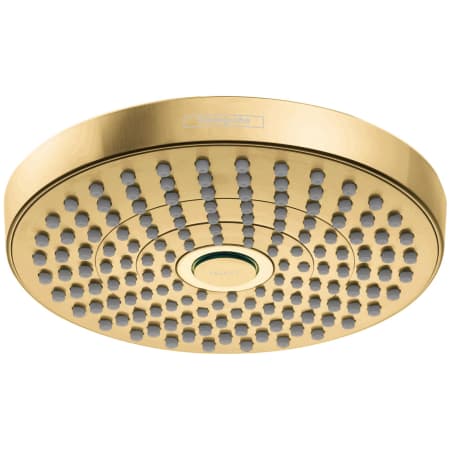 A large image of the Hansgrohe 04825 Brushed Gold Optic