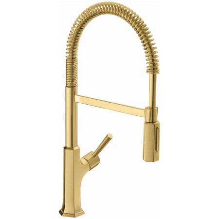 A large image of the Hansgrohe 04851 Brushed Gold Optic