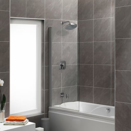 A large image of the Hansgrohe 04910 Alternate View