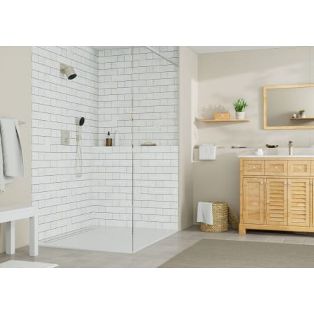 A large image of the Hansgrohe 04917 Alternate3