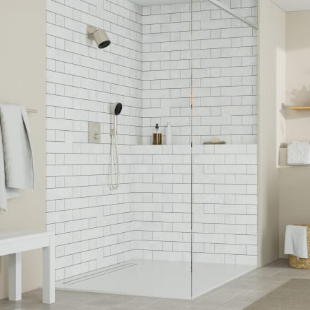 A large image of the Hansgrohe 04917 Alternate4