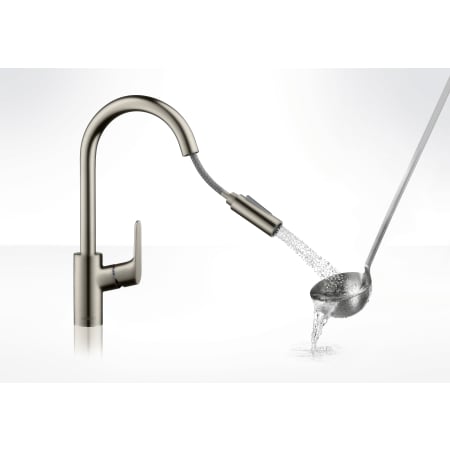 A large image of the Hansgrohe 04920 Alternate Image