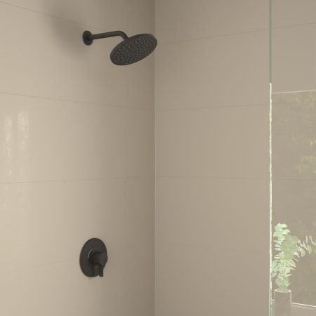 A large image of the Hansgrohe 04954 Alternate Image