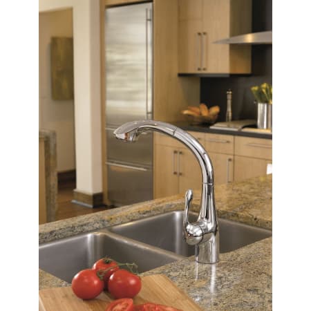 A large image of the Hansgrohe 06461 Alternate Image