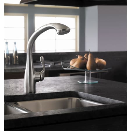 A large image of the Hansgrohe 06461 Alternate Image