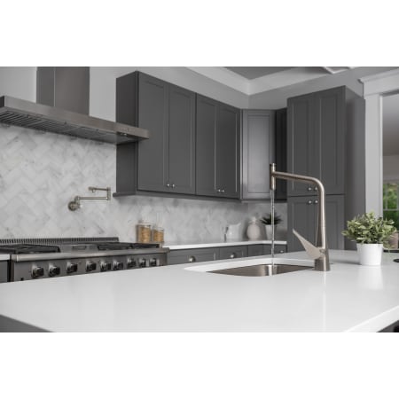 A large image of the Hansgrohe 14820 Alternate Image