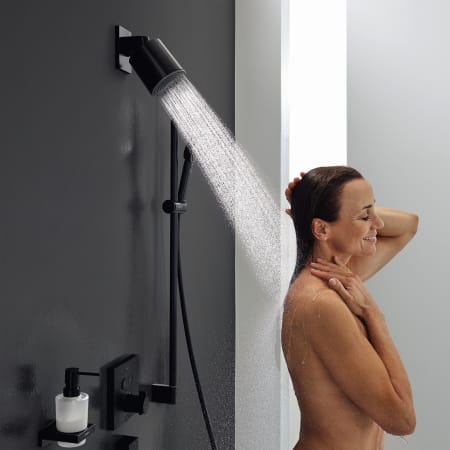A large image of the Hansgrohe 24131 Alternate5