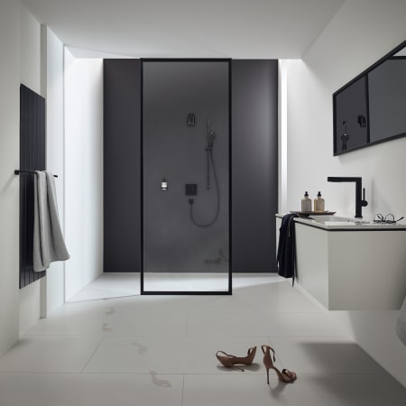A large image of the Hansgrohe 24131 Alternate6