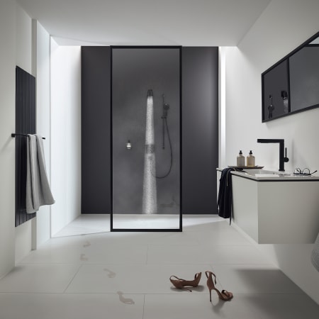 A large image of the Hansgrohe 24131 Alternate7