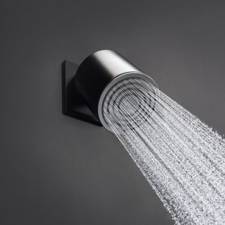 A large image of the Hansgrohe 24132 Alternate3