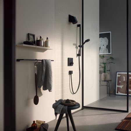 A large image of the Hansgrohe 24132 Alternate7