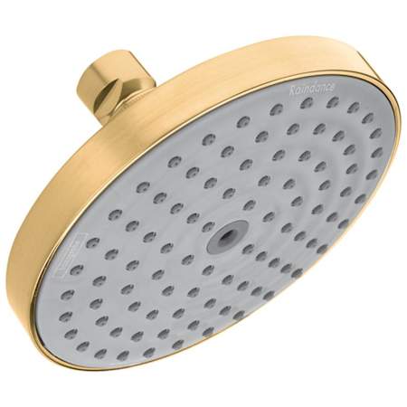 A large image of the Hansgrohe 27495 Brushed Bronze