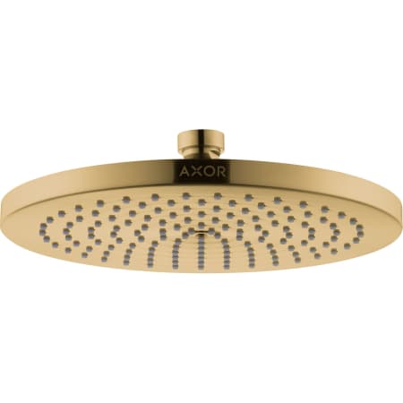 A large image of the Hansgrohe 28494 Polished Gold Optic