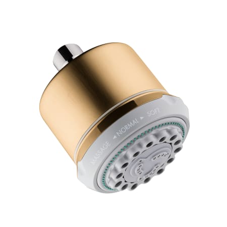 A large image of the Hansgrohe 28496 Brushed Bronze