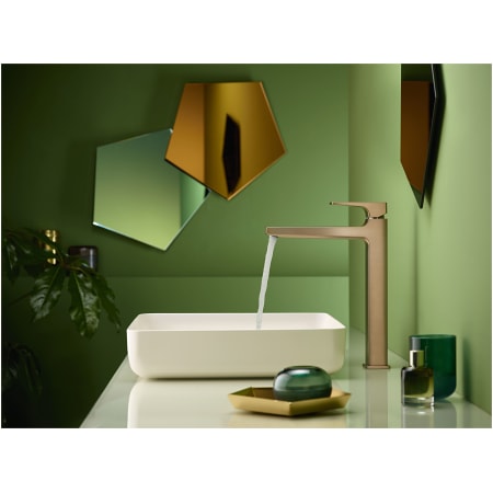 A large image of the Hansgrohe 32513 Alternate View
