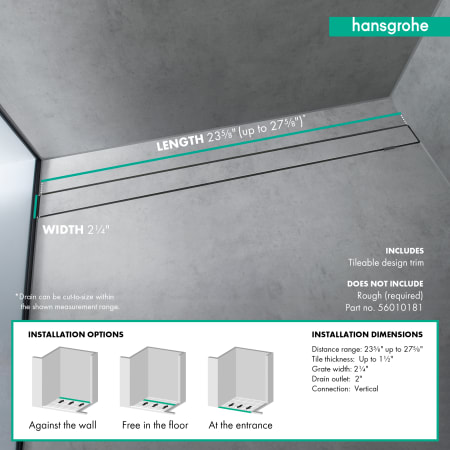 A large image of the Hansgrohe 56029 Alternate Image