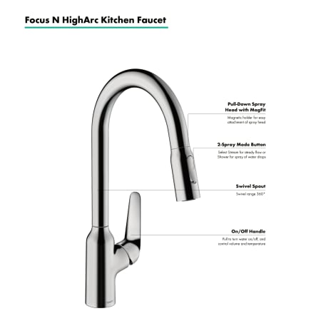 A large image of the Hansgrohe 71800 Alternate View