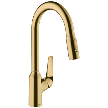 A large image of the Hansgrohe 71800 Brushed Gold Optic