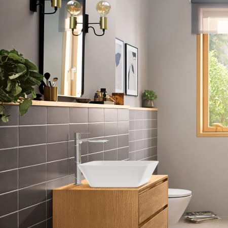 A large image of the Hansgrohe 72564 Alternate Image