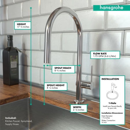 A large image of the Hansgrohe 72800 Alternate Image
