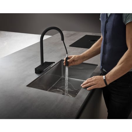 A large image of the Hansgrohe 73831 Alternate Image