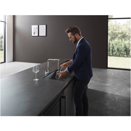 A large image of the Hansgrohe 73836 Alternate Image