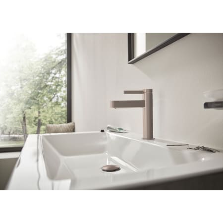 A large image of the Hansgrohe 76010 Alternate Image