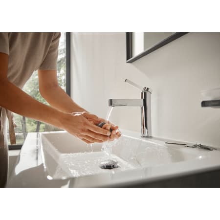 A large image of the Hansgrohe 76010 Alternate Image