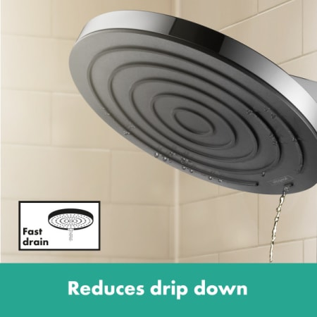 A large image of the Hansgrohe 24142 Alt Image