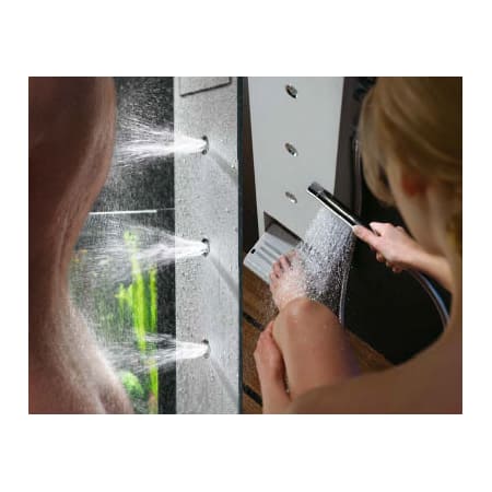 A large image of the Hansgrohe 26017 Alternate View