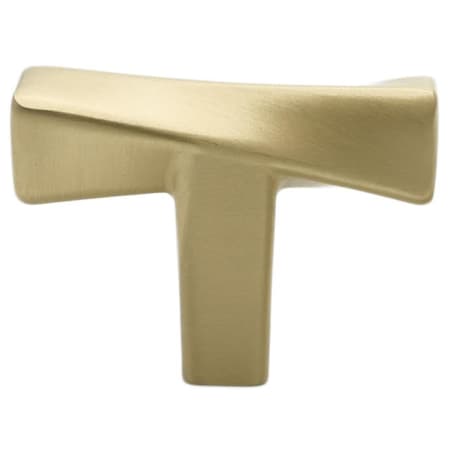 A large image of the Hapny Home TW16 Satin Brass