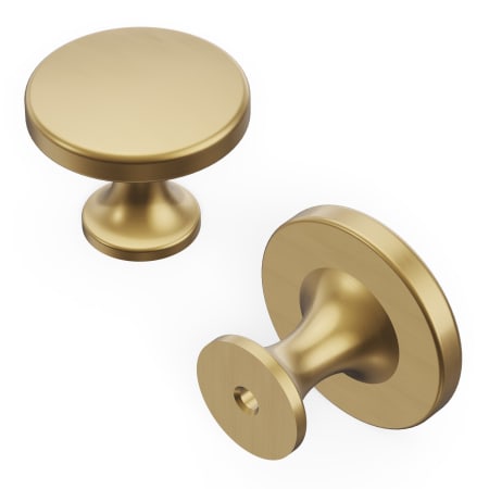 A large image of the Hickory Hardware H076698-10B Champagne Bronze