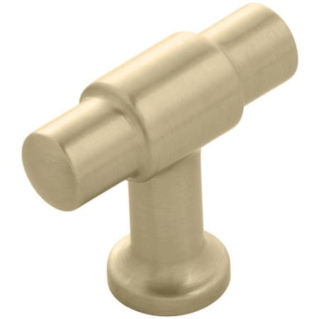 A large image of the Hickory Hardware H077850-10PACK Champagne Bronze