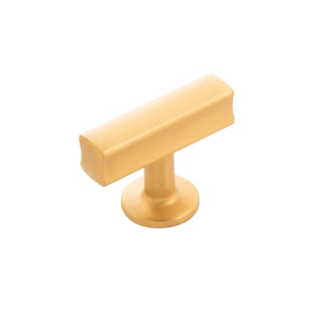 A large image of the Hickory Hardware H077878 Brushed Golden Brass