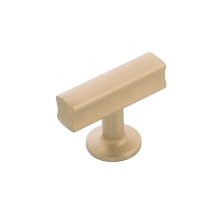 A large image of the Hickory Hardware H077878 Champagne Bronze