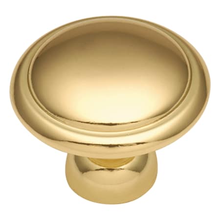 A large image of the Hickory Hardware P14848 Polished Brass