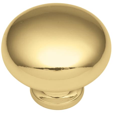 A large image of the Hickory Hardware P771 Polished Brass