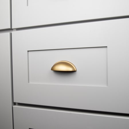 A large image of the Hickory Hardware R077748-10PACK Brushed Brass - Close Up