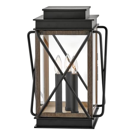 A large image of the Hinkley Lighting 11197-LV Black
