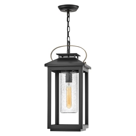 A large image of the Hinkley Lighting 1162 Pendant with Canopy - BK