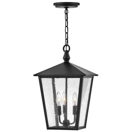 A large image of the Hinkley Lighting 14062 Outdoor Pendant with Canopy - BK