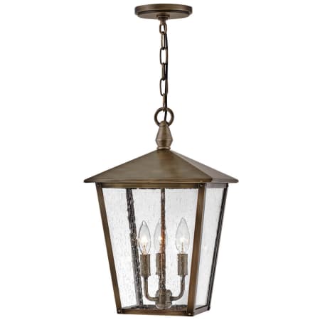 A large image of the Hinkley Lighting 14062 Outdoor Pendant with Canopy - BU