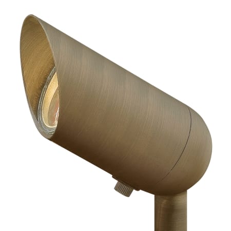 A large image of the Hinkley Lighting H1536 Matte Bronze